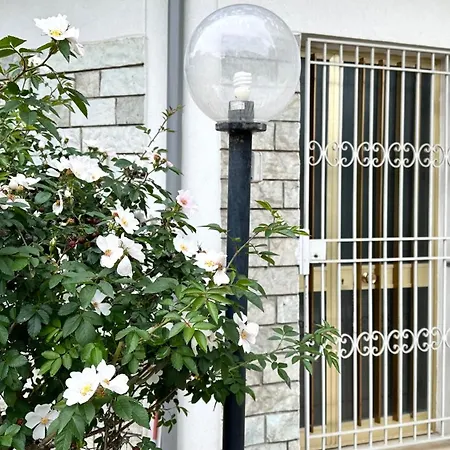 Se093 - Senigallia, Accogliente Bilocale In Zona Residenziale Senigallia